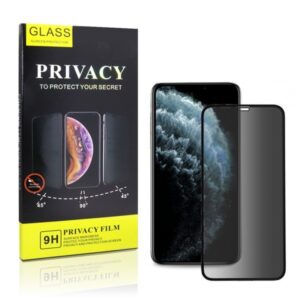Película Vidro temperado Privacidade iPhone Xs Max/ 11 Pro Max Preto Fullcover